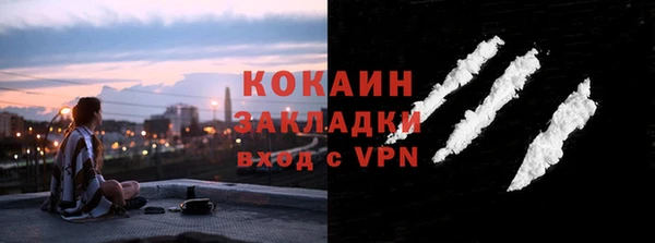соль ск Богородск