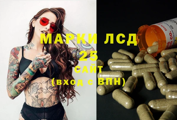 ПСИЛОЦИБИНОВЫЕ ГРИБЫ Богородицк