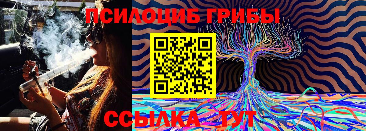 Галлюциногенные грибы MAGIC MUSHROOMS Кстово