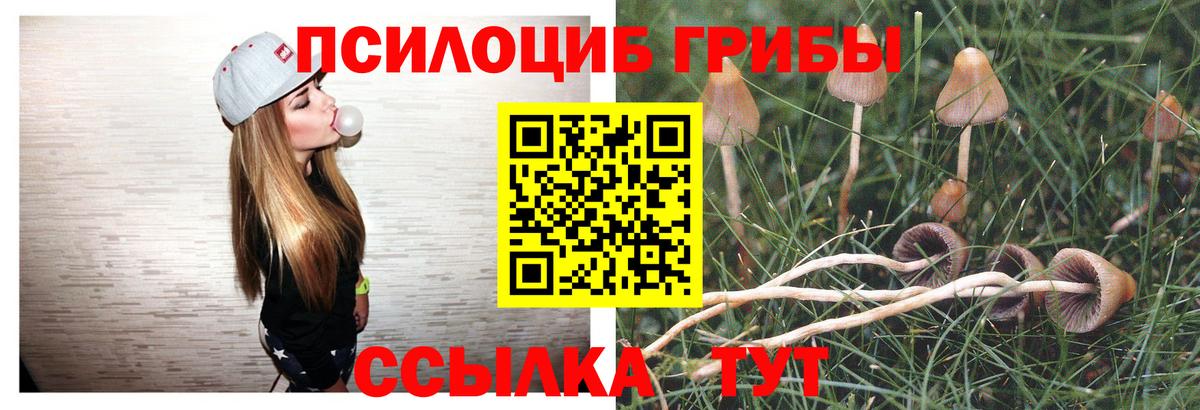 Кстово  Псилоцибиновые грибы GOLDEN TEACHER  Галлюциногенные грибы мицелий  Вход с VPN 